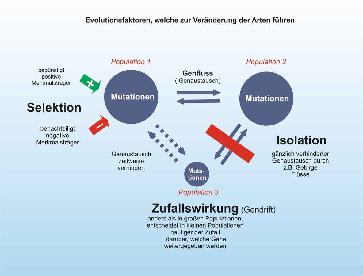 download corneal endothelial