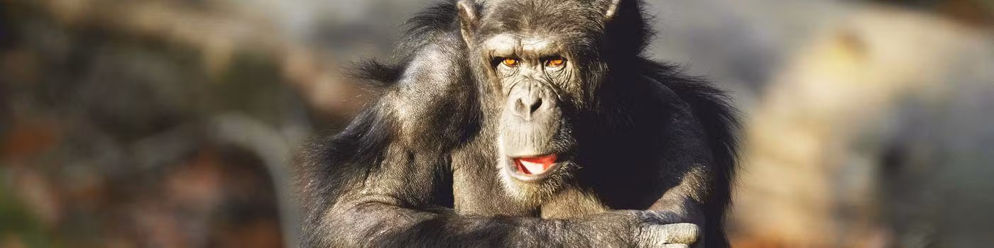 header Bio