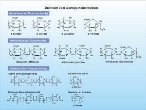 E-Kohlenhydrate-Einteilung