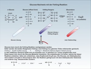 E-Kohlenhydrate-Fehling