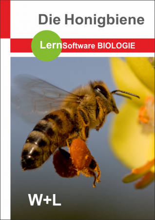 LernSoftware_Die-Honigbiene