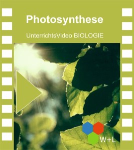 Unterrichts-Video_Photosynthe.jpg