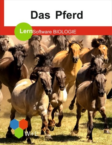 lernsoftware-das-pferd.jpg