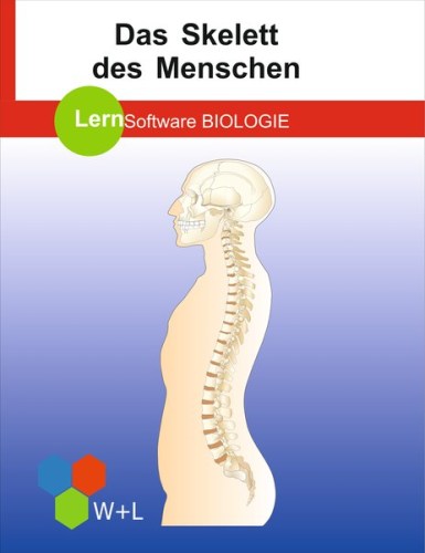 lernsoftware-das-skelett-des-menschen.jpg