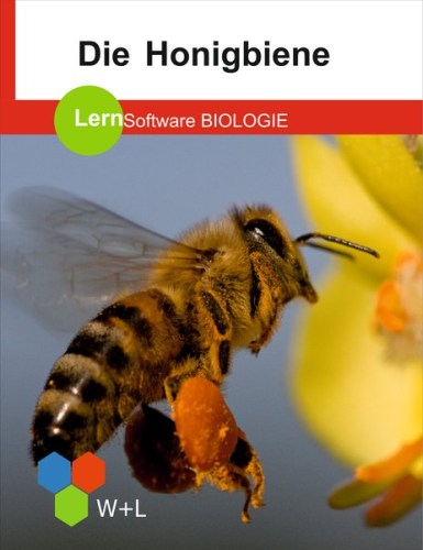 lernsoftware-die-honigbiene.jpg