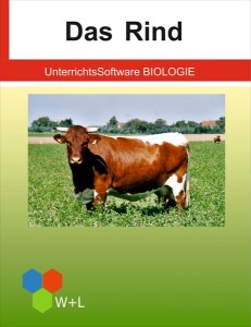 unterrichtssoftware-biologie-das-rind.jpg
