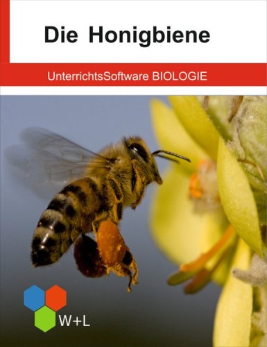 unterrichtssoftware-biologie-die-honigbiene.jpg