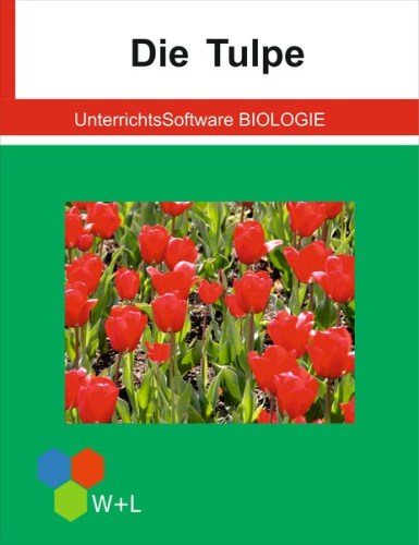 unterrichtssoftware-biologie-die-tulpe.jpg