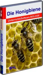 6001 Die Honigbiene 2018