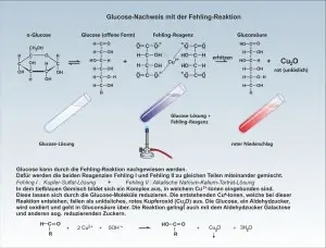 E-Kohlenhydrate-Fehling