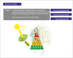LS_Ökosystem Wald 1