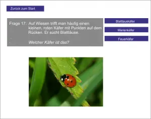Keine Abbildung zugeordnet 