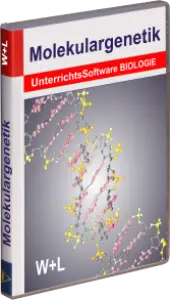 CD Molekulargenetik