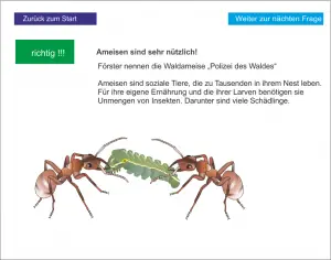 LS_Ökosystem Wald 4