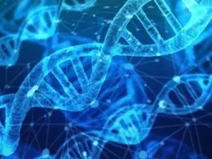 Keine Abbildung zugeordnet 