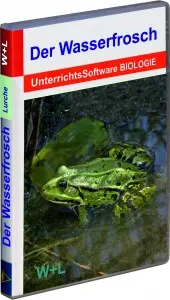 1006 Der Wasserfrosch 2018