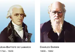 Darwin_und_Lamarck.png