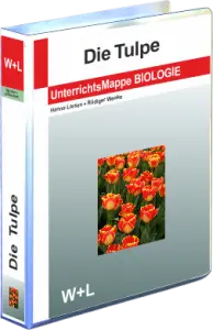 Mappe Tulpe