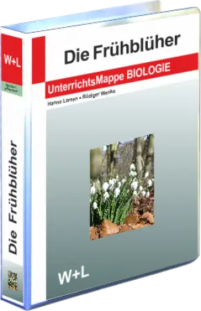 Mappe Frühblüher