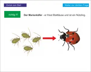 Keine Abbildung zugeordnet 