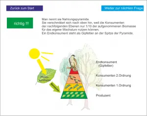 LS_Ökosystem Wald 2