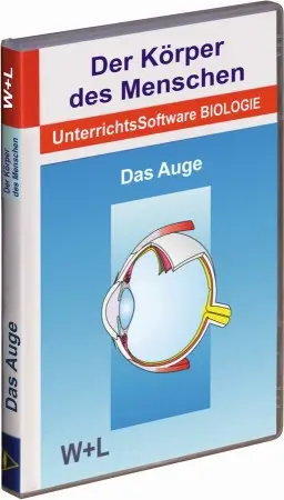 Mensch-Auge-0