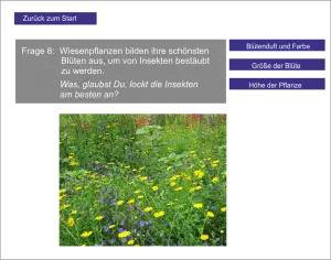 Keine Abbildung zugeordnet 