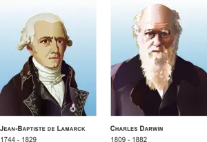 Darwin_und_Lamarck.png