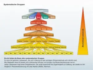 Das-Reich-der-Tiere-2