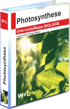 Mappe Photosynthese