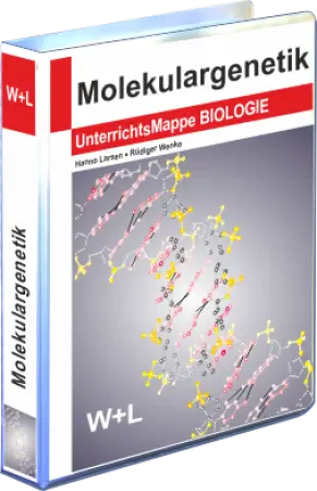 Mappe Molekulargenetik