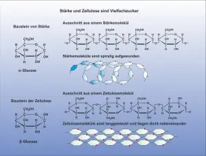E-Kohlenhydrate-Stärke