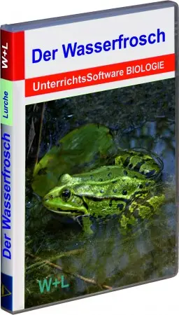 1006 Der Wasserfrosch 2018