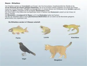 Das-Reich-der-Tiere-1