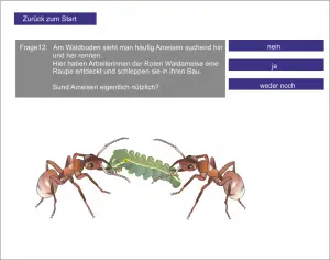 LS_Ökosystem Wald 3