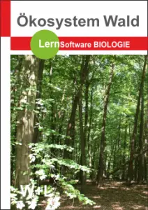 Ökosystem Wald