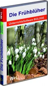 4002 Die Frühblüher 2018