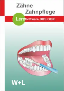 Zähne Zahnpflege